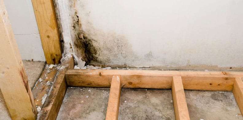 What Basement Moisture Testing Can Do for Your Home