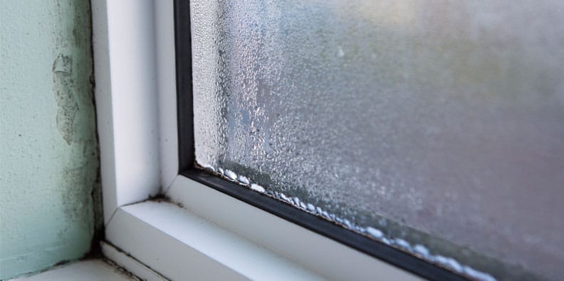 Mold inspection for leaky windows - CMT Mold inspection for leaky windows - CMT